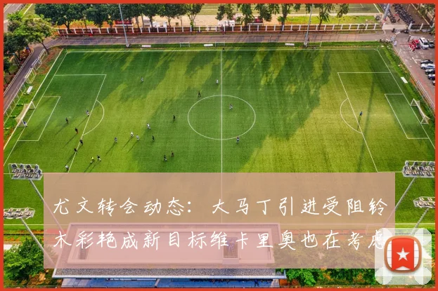 尤文转会动态：大马丁引进受阻铃木彩艳成新目标维卡里奥也在考虑中
