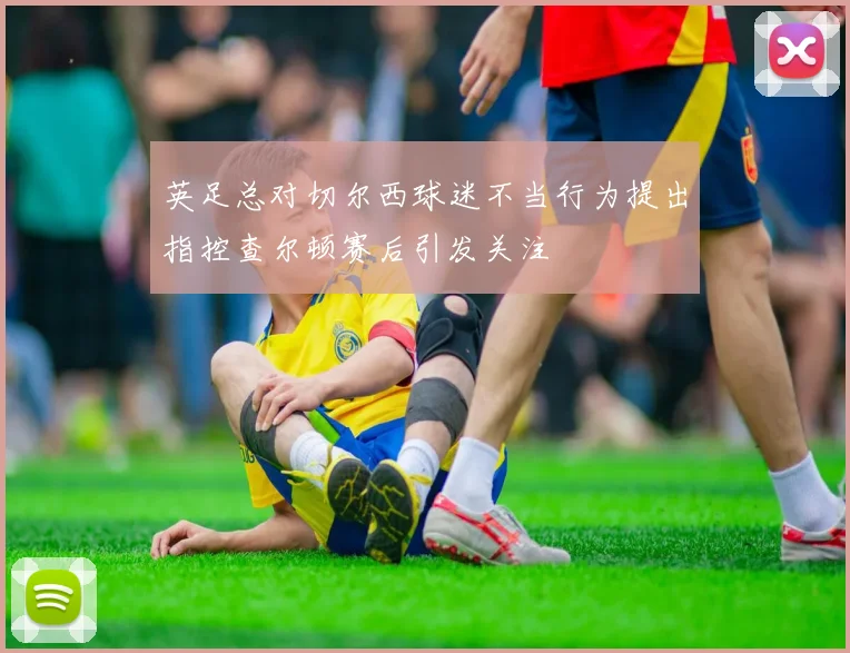 英足总对切尔西球迷不当行为提出指控查尔顿赛后引发关注